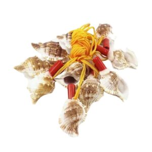 Σφυρίχτρα κοχύλι με κορδόνι 10τμχ - Shell wistle