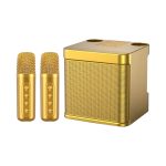 Ασύρματο ηχείο Bluetooth με 2 μικρόφωνα Karaoke - YS-203 - 887172 - Gold