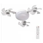 Χαρακτηριστικά: