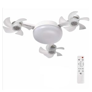 Χαρακτηριστικά: