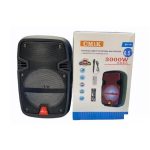 Φορητό ηχείο με μικρόφωνο. Συνδέστε το ηχείο με το κινητό ή τον υπολογιστή μέσω bluetooth και το πάρτι ξεκινά. Ακόμα συνδέοντας το μικρόφωνο στην ειδική θύρα