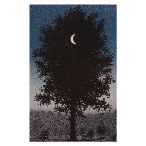 ΠΙΝΑΚΑΣ TOIXOY FB94850 ΕΚΤΥΠΩΜΕΝΟΣ ΚΑΜΒΑΣ 45x3(πάχος)x70Yεκ.