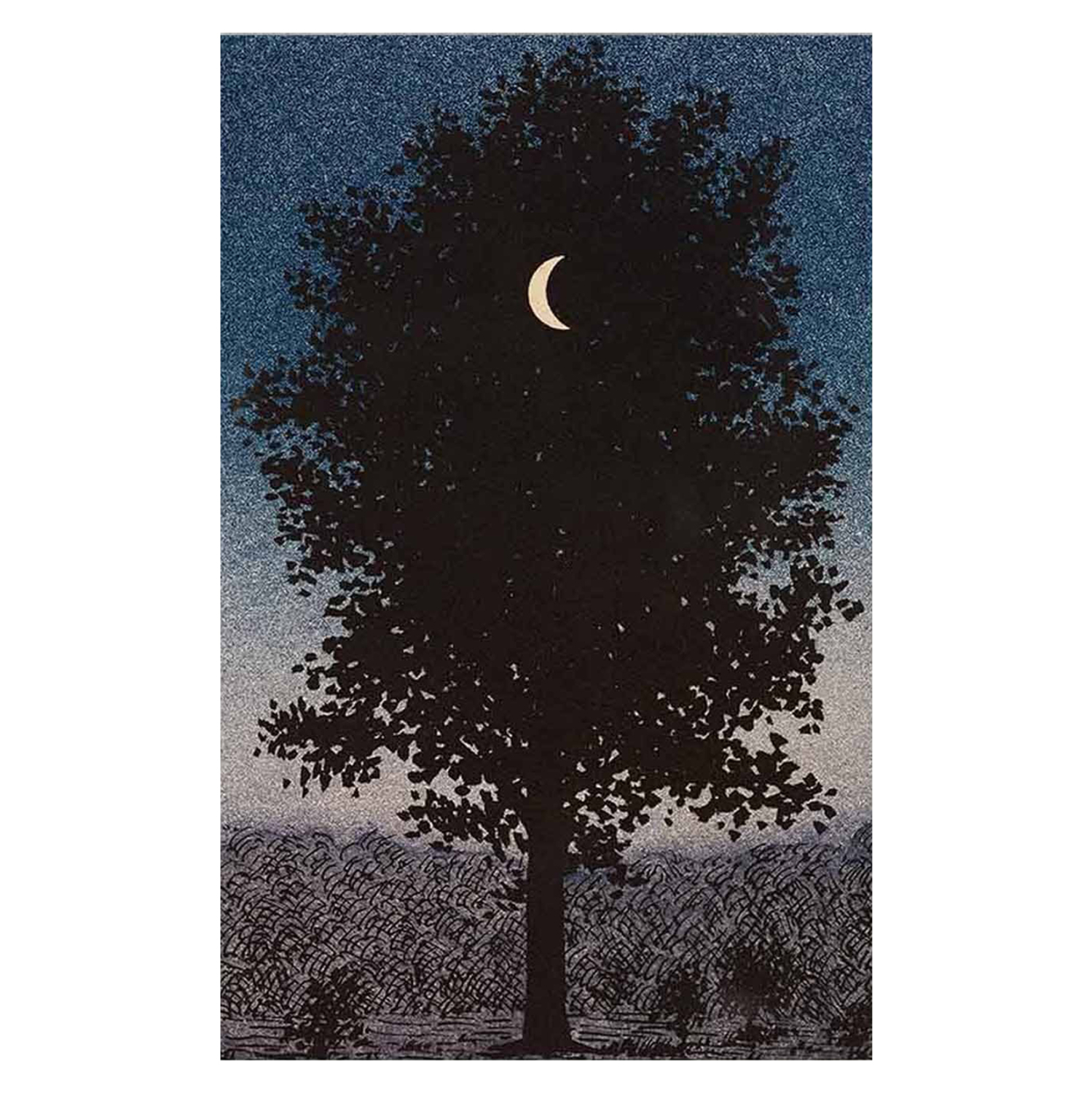 ΠΙΝΑΚΑΣ TOIXOY FB94850 ΕΚΤΥΠΩΜΕΝΟΣ ΚΑΜΒΑΣ 45x3(πάχος)x70Yεκ.