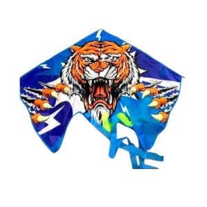 Χαρταετός με σχέδιο - 981164