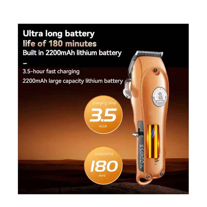 Χαρακτηριστικά: