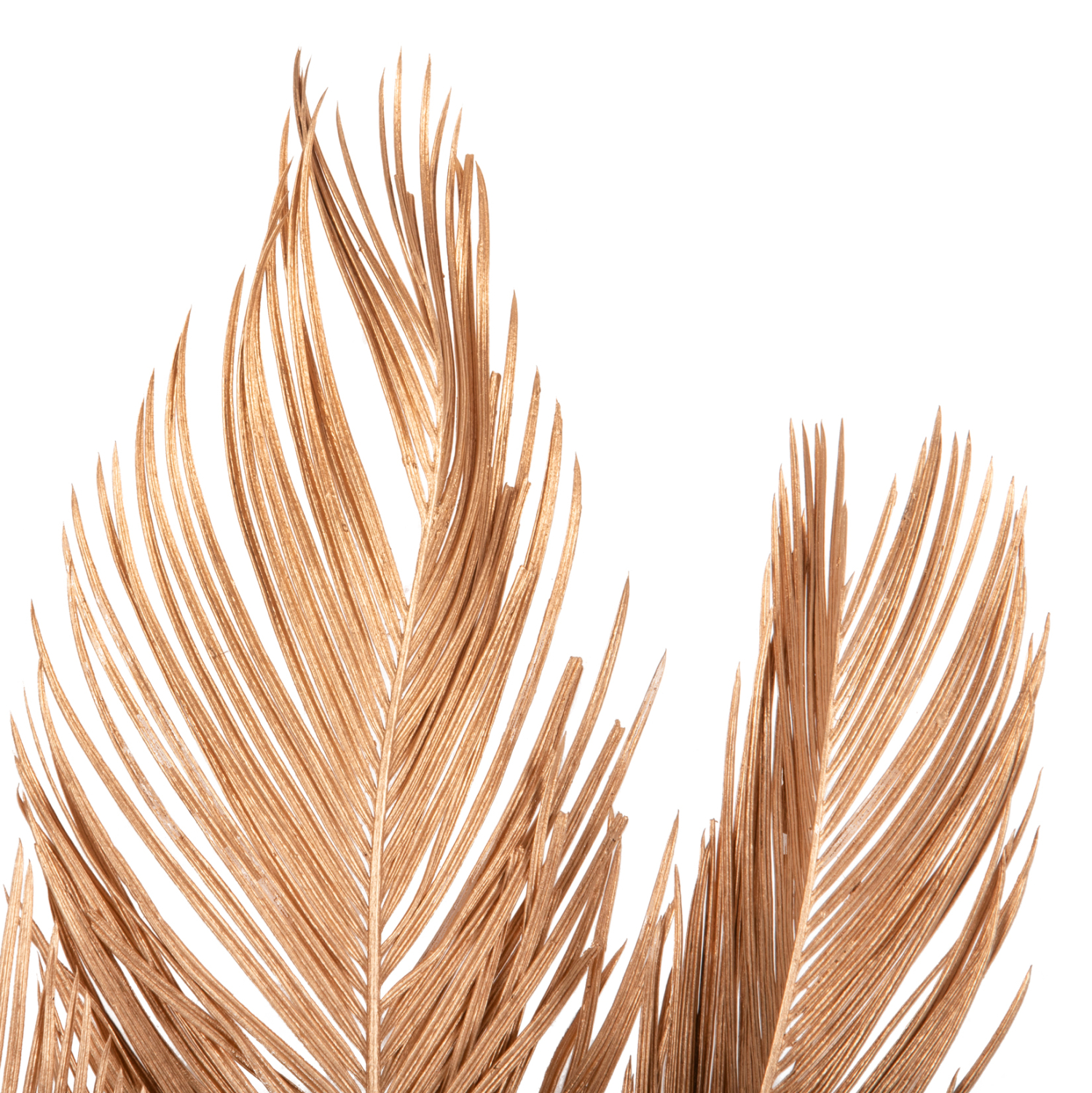 ΔΙΑΚΟΣΜΗΤΙΚΟ ΑΠΟΞΗΡΑΜΕΝΟ ΣΕΤ 3 ΦΥΛΛΩΝ ΦΟΙΝΙΚΑ FB97958 ΧΡΥΣΟ 110Υεκ. - Image 3