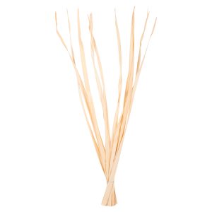 ΔΙΑΚΟΣΜΗΤΙΚΟ ΜΠΟΥΚΕΤΟ 10ΤΜΧ ΑΠΟΞΗΡΑΜΕΝΩΝ ΜΑΚΡΥΦΥΛΛΩΝ FB97964 ΦΥΣΙΚΟ 120Υεκ