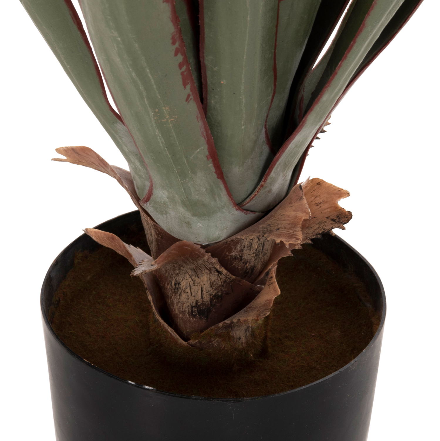 ΔΙΑΚΟΣΜΗΤΙΚΟ ΣΥΝΘΕΤΙΚΟ ΦΥΤΟ FB97985 SISAL AGAVE ΣΕ ΓΛΑΣΤΡΑ Φ13,5x13-76Υεκ. - Image 4