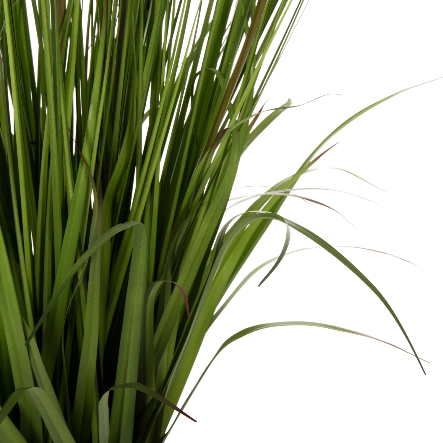 ΔΙΑΚΟΣΜΗΤΙΚΟ ΣΥΝΘΕΤΙΚΟ ΦΥΤΟ FB97999 OPHIUROS ΣΕ ΓΛΑΣΤΡΑ 130Υεκ. - Image 4