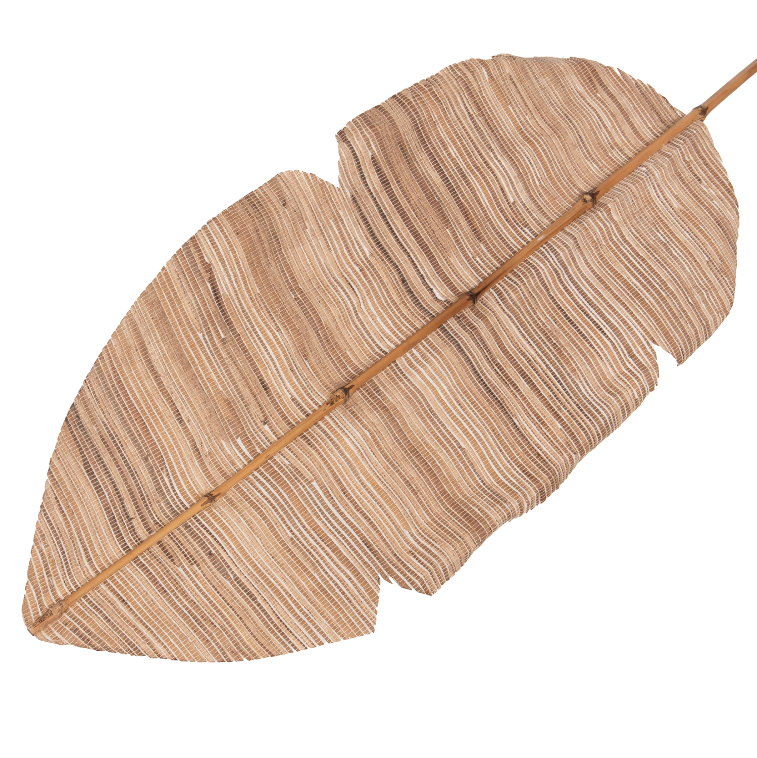 ΔΙΑΚΟΣΜΗΤΙΚΟ ΦΤΕΡΟ FB97873 ΥΔΡΟΥΑΚΙΝΘΟΣ ΣΕ ΦΥΣΙΚΗ ΑΠΟΧΡΩΣΗ 32x200x3 εκ. - Image 3