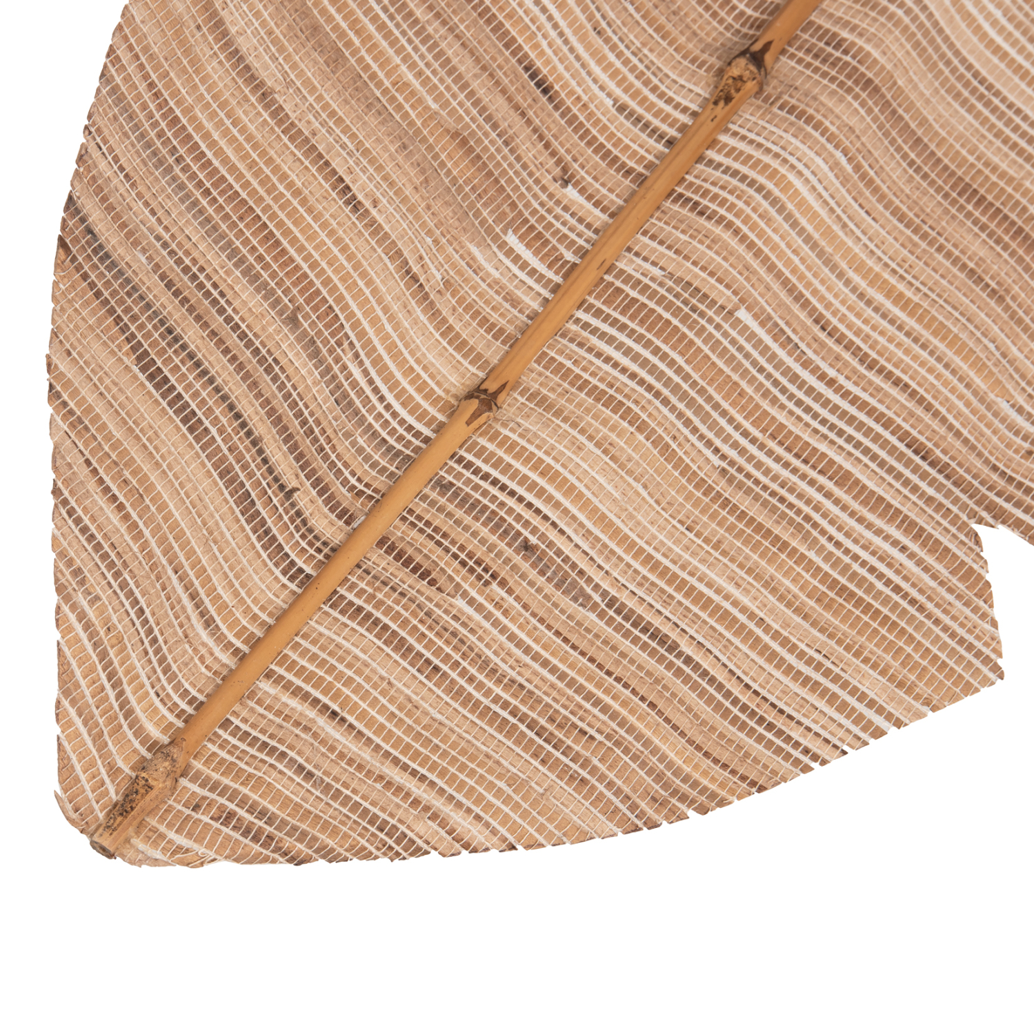 ΔΙΑΚΟΣΜΗΤΙΚΟ ΦΤΕΡΟ FB97873 ΥΔΡΟΥΑΚΙΝΘΟΣ ΣΕ ΦΥΣΙΚΗ ΑΠΟΧΡΩΣΗ 32x200x3 εκ. - Image 4