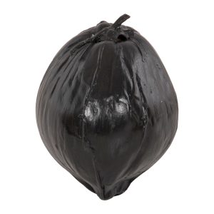 ΕΠΙΤΡΑΠΕΖΙΟ ΔΙΑΚΟΣΜΗΤΙΚΟ FB94326.02 ΚΑΡΥΔΑ ΣΕ ΜΑΥΡΟ ΧΡΩΜΑ 20x20x20Υεκ