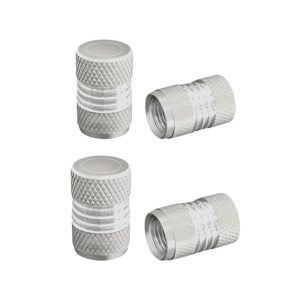 Καπάκι βαλβίδας ελαστικών αυτοκινήτου - R-Z17109-4U - 140526 - Silver