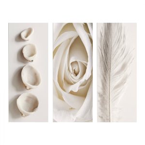 ΠΙΝΑΚΑΣ ΤΡΙΠΤΥΧΟ MDF NATURAL ELEMENTS FB97204.05 60X0