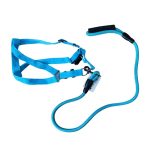 ΣΤΗΘΟΛΟΥΡΟ ΚΑΙ ΛΟΥΡΙ ΣΚΥΛΟΥ ΓΙΑ ΜΕΓΑΛΟΣΩΜΑ ΣΚΥΛΙΑ