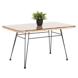 ΤΡΑΠΕΖΙ ΕΞ.ΧΩΡΟΥ ΧΑΜΗΛΟ FB96076 ΜΑΥΡΟ ΜΕΤΑΛΛΟ-ΜΠΕΖ WICKER 95X55X51.5Yεκ.