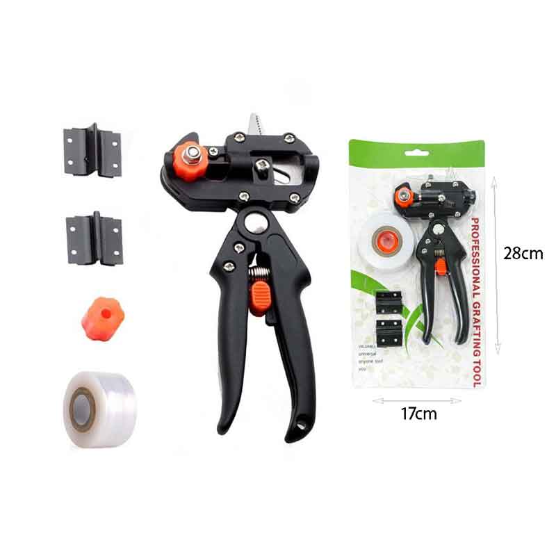 οπωροφόρα δέντρα