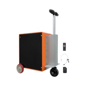 Φορητό ηλεκτρικό ηχοσύστημα Ride-On - DD1010 - 010102